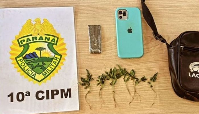 Cantagalo - PM apreende drogas e 7 pés de maconha no centro